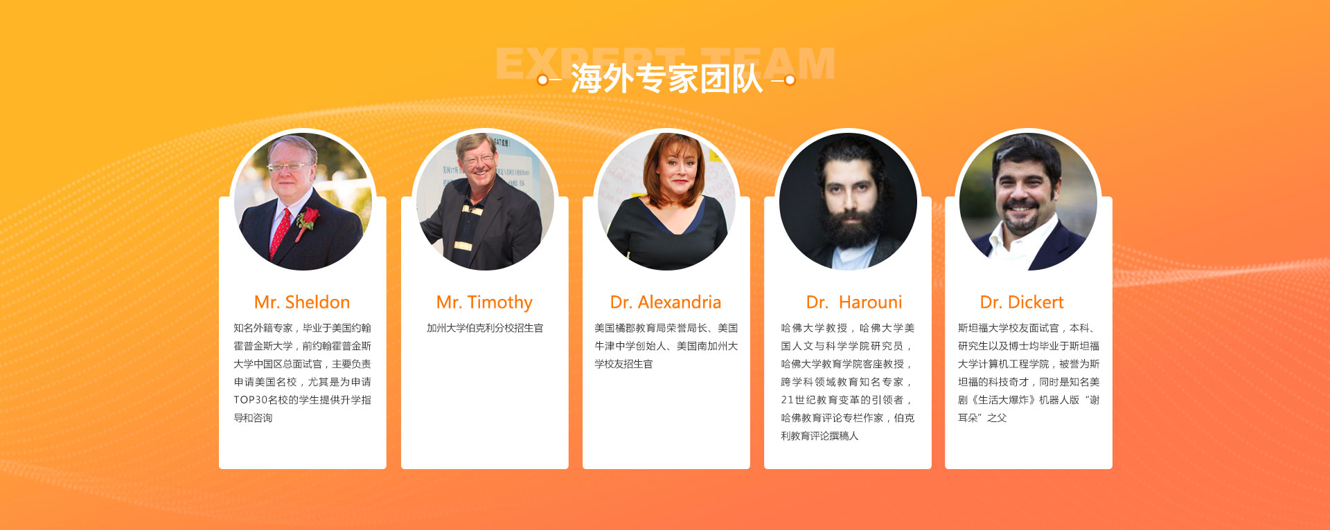 海外专家团队